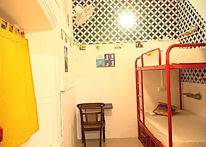 Gostops Lite Kochi